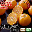 【ふるさと納税】和歌山県産 有田みかん (2S.S.M.Lサイズのいずれか) (L.2L混合) ※2024年11月上旬頃～12月下旬頃に順次発送予定 / みかん ミカン 蜜柑 柑橘 果物 フルーツ 国産 和歌山県広川町 //mandarin