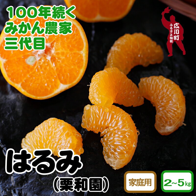 和歌山県有田産 はるみ (ご家庭用)※2025年2月中旬頃〜3月下旬頃に順次発送予定 / みかん くだもの 果実 蜜柑 柑橘 果物 フルーツ 国産 和歌山県広川町 有田 //dekopon