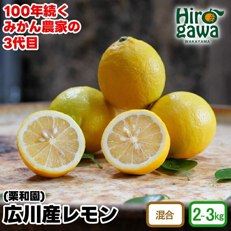【ふるさと納税】 レモン 約 2kg 約 3kg 和歌山県 有田産 ※2月上旬頃〜3月中旬頃に順次発送予定 7000円 10000円 / 有田 檸檬 れもん 柑橘 果物 フルーツ 国産 和歌山 はちみつレモン レモネード //lemonのサムネイル