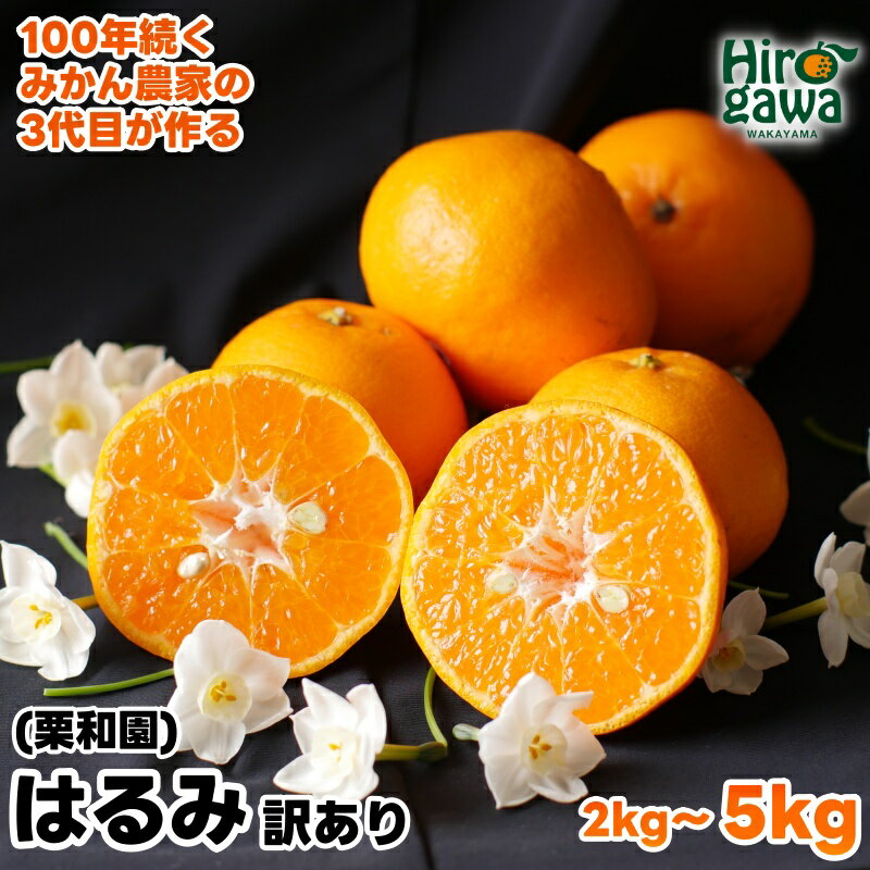【ふるさと納税】 はるみ 家庭用 / 訳あり 甘い 和歌山 柑橘 2kg 5kg 7000円 ※2月中旬〜3月下旬に順次発送 //dekopon