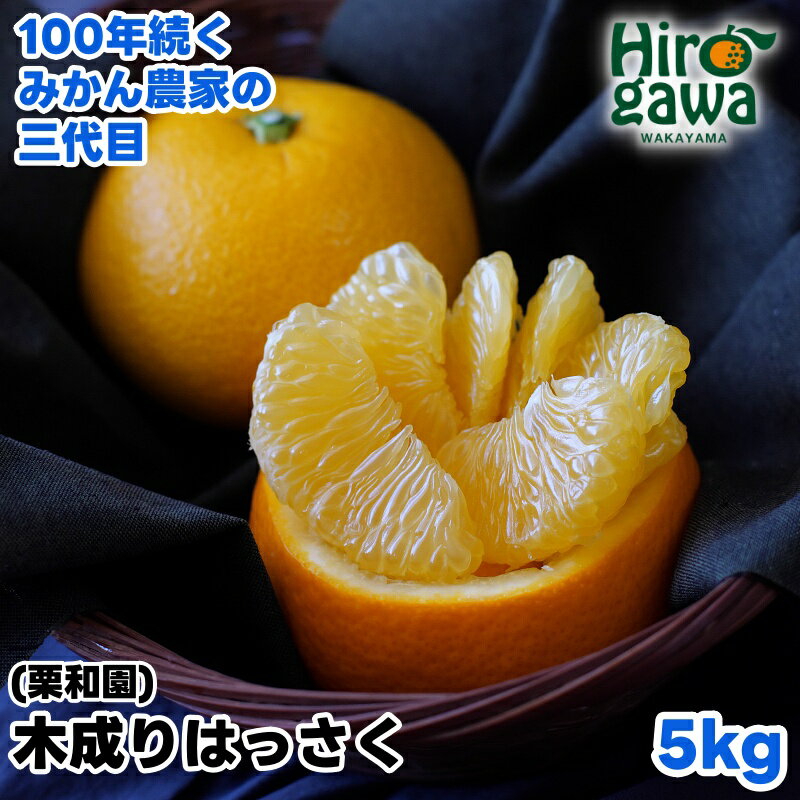 【ふるさと納税】 木成り はっさく 5kg サイズ混合 / 八朔 完熟 甘い 和歌山 柑橘 10000円 ※3月中旬〜4月上旬に順次発送 //hassaku