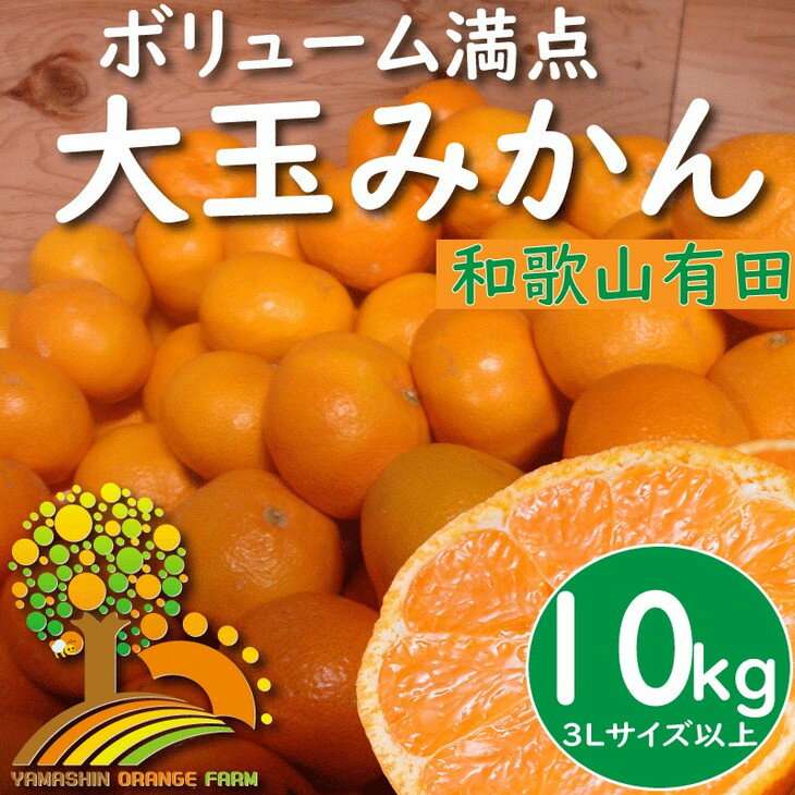 【ふるさと納税】＼光センサー選別／【有機質肥料100％】【家庭用】数量限定 こだわりの 有田みかん 10kg (3Lサイズ以上) 旬 ミカン 蜜柑 柑橘類 果物 フルーツ 送料無料 国産 ※2023年12月上旬より順次発送予定※北海道・沖縄・離島への配送不可