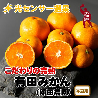 楽天ふるさと納税　【ふるさと納税】＼光センサー選別／農家直送 【2024年11月～1月発送】【家庭用】こだわりの有田みかん（日付指定不可） ※北海道・沖縄・離島への配送不可 / 有田みかん みかん ミカン 蜜柑 柑橘 果物 フルーツ 甘い 温州みかん //mandarin