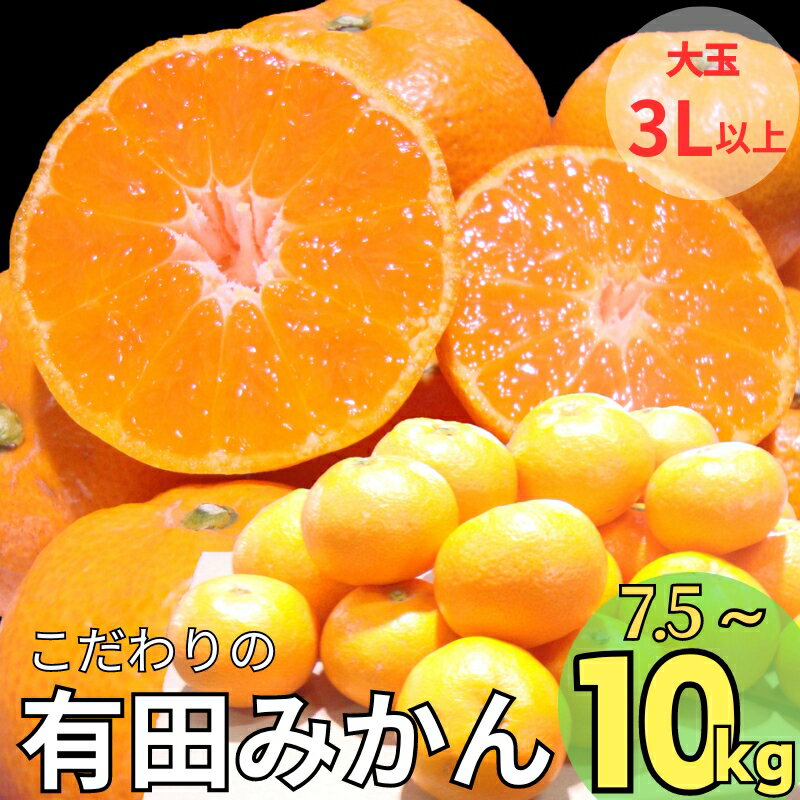 20位! 口コミ数「29件」評価「4.21」＼光センサー選別／【有機質肥料100％】【家庭用】数量限定 こだわりの 有田みかん (3Lサイズ以上) ※2024年12月初旬～1月中旬に順･･･ 