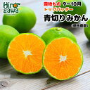 【ふるさと納税】 青切り みかん / 極早生 極早生みかん 温州みかん 甘い 家庭用 和歌山 柑橘 5kg 10kg 5000円 10000円 ※9月下旬~10月順次発送 ※北海道・沖縄・離島への配送不可 //goku