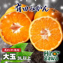 【ふるさと納税】 こだわりの 有田みかん 7.5kg 10kg (3Lサイズ以上) 10000円 家庭用 光センサー選別 有機質肥料100% ※11月中旬〜12...