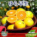 【ふるさと納税】 由良早生 みかん 家庭用 / ゆら早生 温州みかん 極早生 甘い 家庭用 和歌山 柑橘 5kg 10kg ※10月上旬~10月下旬順次発送 ※北海道・沖縄・離島への配送不可 //goku
