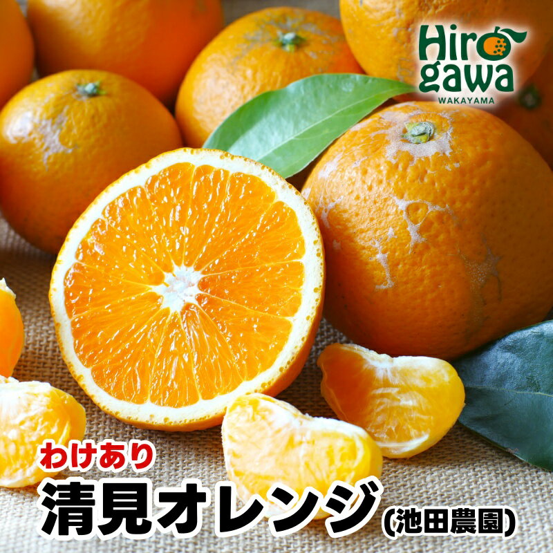楽天市場】甘平(総重量(果物)5.00 ~ 5.99kg)の通販 楽天市場】甘平(総重量(果物)5.00 ~ 5.99kg)の通販