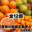 【ふるさと納税】季節の柑橘定期便A【全12回】【和歌山県有田