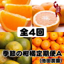 【ふるさと納税】季節の柑橘定期便A【全4回】【和歌山県有田】