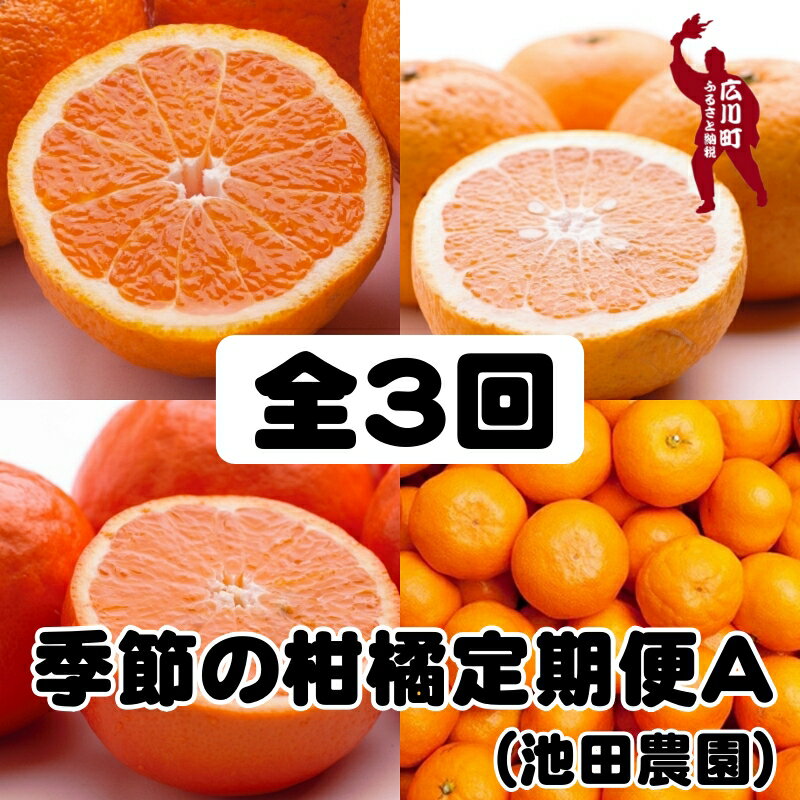 【ふるさと納税】季節の柑橘定期便A【全3回】【和歌山県有田】