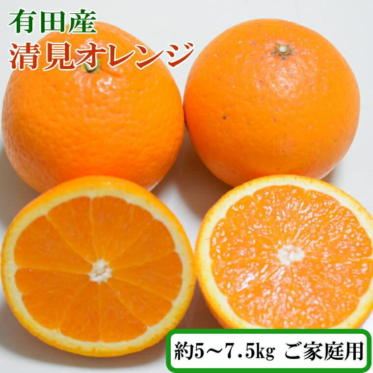 【ふるさと納税】【訳ありご家庭用】有田産清見オレンジ7.5kg(サイズおまかせまたは混合) / 訳あり オレンジ 清見オレンジ みかん ミカン 蜜柑 サイズ混合 柑橘 果物 フルーツ 国産 和歌山県広川町※2024年2月上旬〜3月下旬頃に順次発送予定のサムネイル