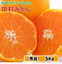 【ふるさと納税】 田村 みかん 【ブランドみかん】 約 5kg (秀品) / 蜜柑 柑橘 甘い 和歌山 湯浅町産 ※11月下旬~12月下旬頃に順次発送予定