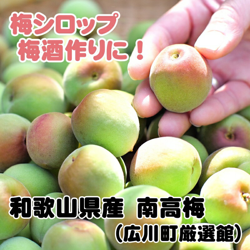 [和歌山名産]南高梅約3kg(サイズ混合)・秀品 ※2024年6月初旬から6月下旬頃順次発送 ※北海道・沖縄・離島への配送不可 / 青梅 梅干し うめ 梅酒 梅シロップ ジャム //hokaf //best