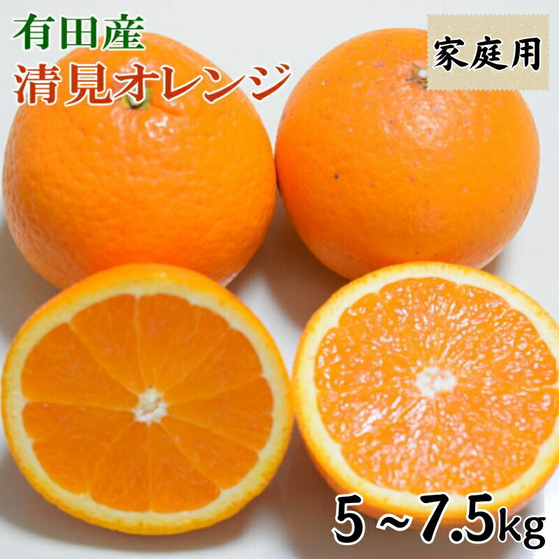 14位! 口コミ数「12件」評価「4.5」【産直】有田産清見オレンジ （訳あり家庭用サイズおまかせまたは混合）※2025年2月上旬～3月下旬頃に順次発送予定 / 訳あり オレンジ 清･･･ 