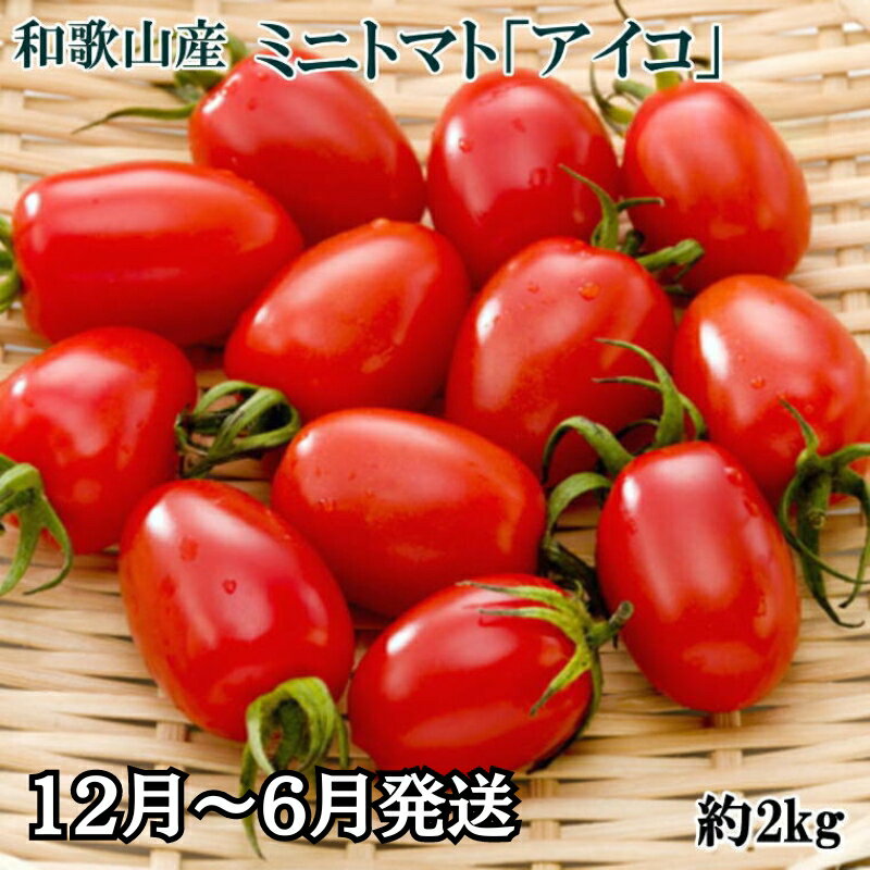 4位! 口コミ数「1件」評価「5」和歌山産ミニトマト「アイコトマト」約2kg（S・Mサイズおまかせ） ※北海道、沖縄、離島には配送不可 ※2024年1月中旬〜6月下旬頃に順次･･･ 