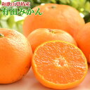 【ふるさと納税】 有田みかん <秀品> 13000円 16000円 ※11月中旬〜1月中旬頃に順次発送予定 / 温州みかん みかん 柑橘 果物 フルーツ くだも...