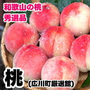 【ふるさと納税】 桃 秀品 / 白桃 もも 甘い 高級 和歌山 2kg 4kg 11000円 ※6月下旬~8月上旬に順次発送 ※北海道・沖縄・離島への配送不可 //hokaf