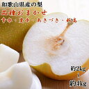 【ふるさと納税】 和歌山県 産の 梨 約2kg 約4kg (品種おまかせ) / なし 甘い 柑橘 和歌山 ※2026年8月下旬~9月下旬頃に順次発送予定 ※着日指定不可 //hokaf