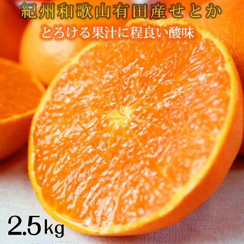 【ふるさと納税】とろける食感 ジューシー柑橘 せとか 2.5kg ※2025年2月上旬頃～2月下旬頃に順次発送...