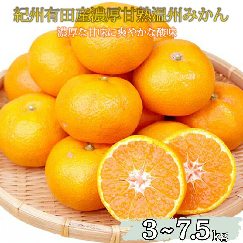 【濃厚完熟】紀州有田産 温州みかん※2024年11月下旬頃〜2025年1月下旬頃に順次発送予定※離島への配送不可 / ミカン 蜜柑 柑橘 果物 フルーツ 国産 くだもの 果実 和歌山県広川町 //mandarin