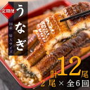 【ふるさと納税】【全6回定期便】大型サイズ ふっくら柔らか 国産うなぎ蒲焼き 2尾×6回 計12尾 約2040g / 定期便 うなぎ 鰻 蒲焼 冷凍 ※離島への配送不可 //fish