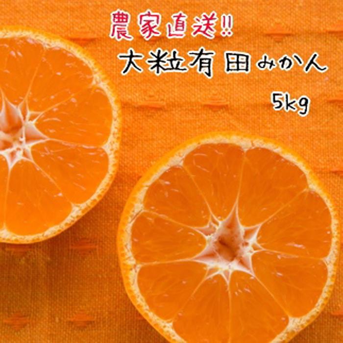 13位! 口コミ数「8件」評価「3.63」大粒 有田 みかん 5kg 【先行予約】みかんの本場和歌山有田より農家直送！／11月中旬～発送予定 | みかん 蜜柑 柑橘 和歌山 果物 先･･･ 