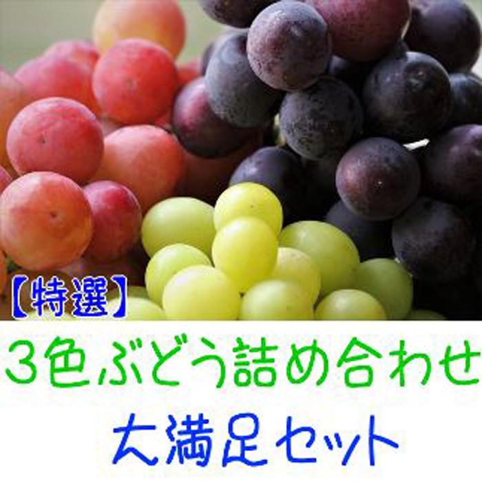 農家直送 3色ぶどう詰め合わせ大満足セット 約4kg【先行予約】 | 先行予約 和歌山 果物 くだもの フルーツ シャインマスカット 赤嶺 巨峰 ぶどう 詰め合わせ ブランド 取り寄せ ご当地 期間限定