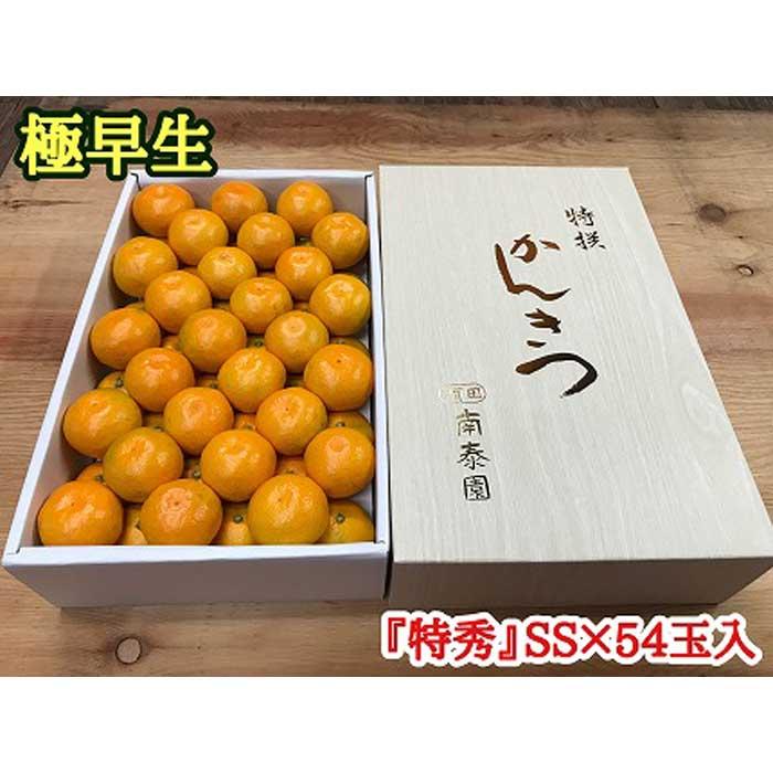 【ふるさと納税】極早生 みかん 有田 化粧箱 特秀 小玉 S