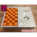【ふるさと納税】年内発送 完熟早生 有田みかん 化粧箱 特秀 S サイズ 45玉入 和歌山 南泰園 みかん | フルーツ 果物 くだもの 食品 人気 おすすめ 送料無料