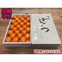 【ふるさと納税】年内発送 完熟早生 有田みかん 化粧箱 特秀 小玉 SS サイズ 54玉入 和歌山 南泰園 みかん | フルーツ 果物 くだもの 食品 人気 おすすめ 送料無料