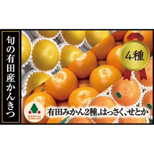 【ふるさと納税】定期便 旬の有田産かんきつ味わい セット 全4回 お届け 南泰園 みかん 【ふるさと納税】定期便 旬の有田産かんきつ味わい セット 全4回 お届け 南泰園 みかん