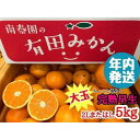 【ふるさと納税】年内発送 ちょっと 傷あり 完熟早生 有田みかん 大玉 2L または L サイズ 5kg 和歌山 南泰園 みかん
