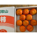 【ふるさと納税】富有柿 赤秀品 3Lサイズ 化粧箱(10個)