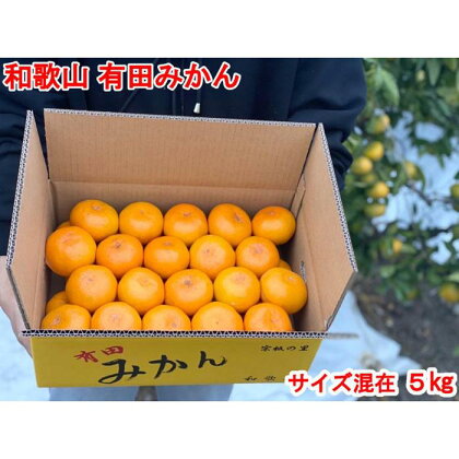 【秀品・サイズMIX】まる隆果樹園　和歌山有田産！早生みかん≪5kg≫【予約販売】【数量限定】