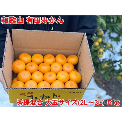 【大玉サイズ(2L・3L）・秀／優混合】早生みかん≪5kg≫和歌山有田産！【予約販売】【数量限定】まる隆果樹園