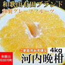 【ふるさと納税】【有田川町】河内晩柑 4kg 和製グレープフルーツ ブラン 和歌山 ブランド 有田みかん ご家庭用 | フルーツ 果物 くだ..