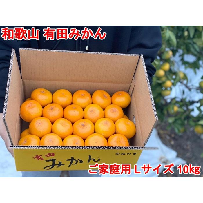 【ふるさと納税】【ご家庭用・サイズL】和歌山有田産！早生みかん≪10kg≫【予約販売】【数量限定】まる隆果樹園