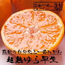 24位! 口コミ数「0件」評価「0」厳選　超熟有田みかん3kg+120g（傷み補償分）【自分史上一番みかん】【光センサー選果】＜2024年11月より発送＞ | フルーツ 果物 ･･･ 