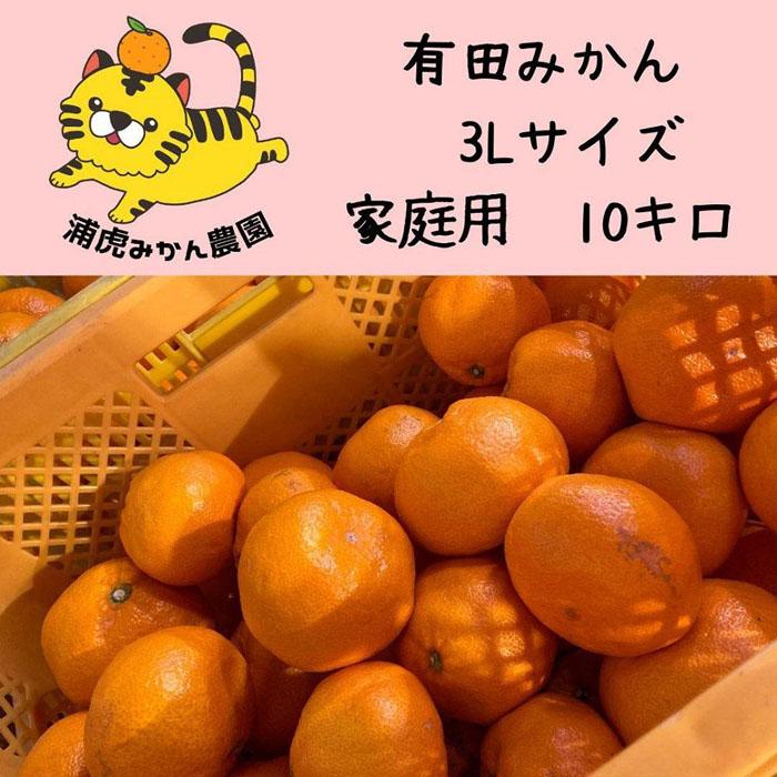 【ふるさと納税】温州みかん　家庭用 10kg ( 3Lサイズ