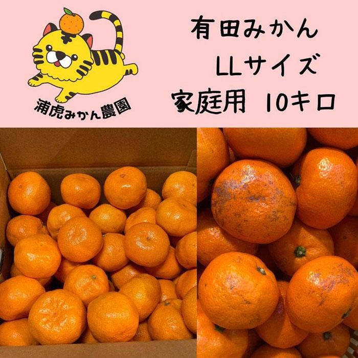 温州みかん 家庭用10kg(2Lサイズ指定) 大きいミカンが好きな人におすすめ