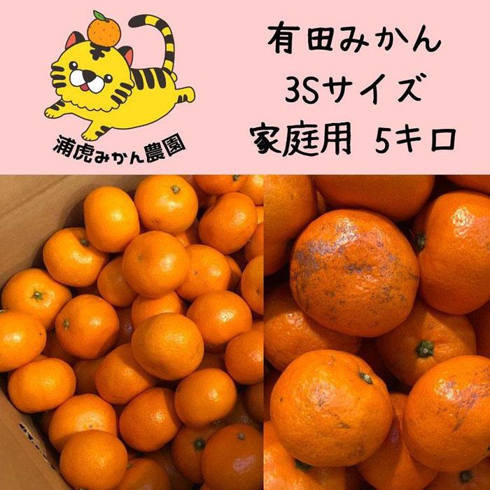 【ふるさと納税】温州みかん　家庭用5kg ( 3Sサイズ以下