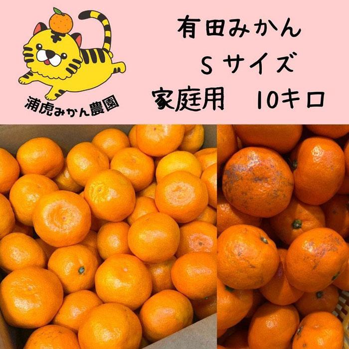 36位! 口コミ数「0件」評価「0」訳あり温州みかん 家庭用 10kg (Sサイズ指定)