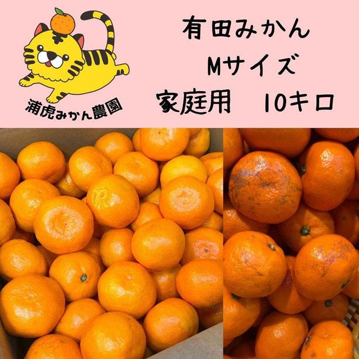 21位! 口コミ数「0件」評価「0」訳あり温州みかん 家庭用 10kg (Mサイズ指定)