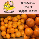 58位! 口コミ数「0件」評価「0」訳あり温州みかん 家庭用 10kg (Lサイズ指定)