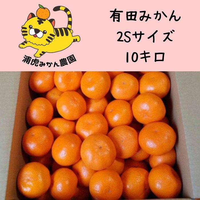 12位! 口コミ数「0件」評価「0」きれいな温州みかん 寄贈用にも 10kg（SSサイズ）小さなミカンが好きな人におすすめ