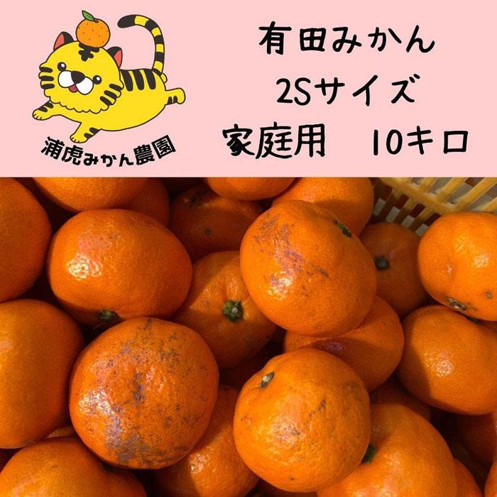 【ふるさと納税】訳あり温州みかん 家庭用 10kg（SSサイズ） 小さなミカンが好きな人におすすめ