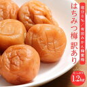 【ふるさと納税】訳あり有田みかん蜂蜜梅干(紀州南高梅)1.2kg(600g×2) | うめ うめぼし 梅干し はちみつうめ わけあり 1200グラム 和歌山産 ...