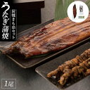 【ふるさと納税】紀州備長炭　炭焼うなぎ蒲焼1本（特大） 　炭