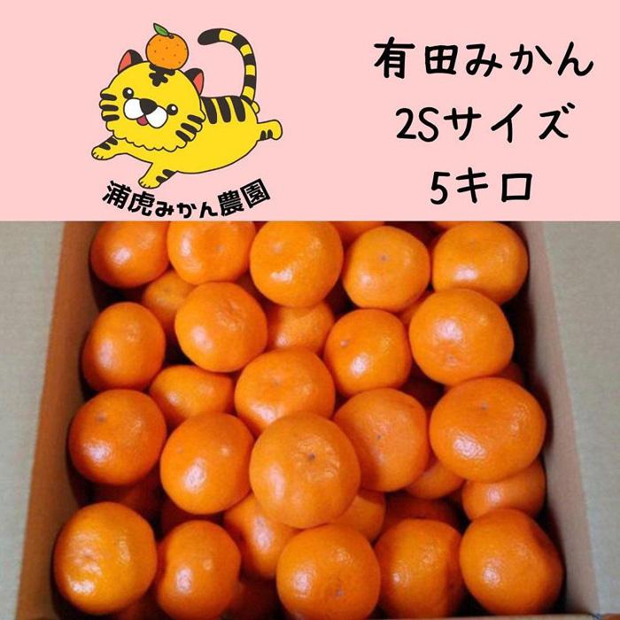 【ふるさと納税】きれいな温州みかん 箱込み 5kg(SSサイズ指定)小さなミカンが好きな人におすすめ